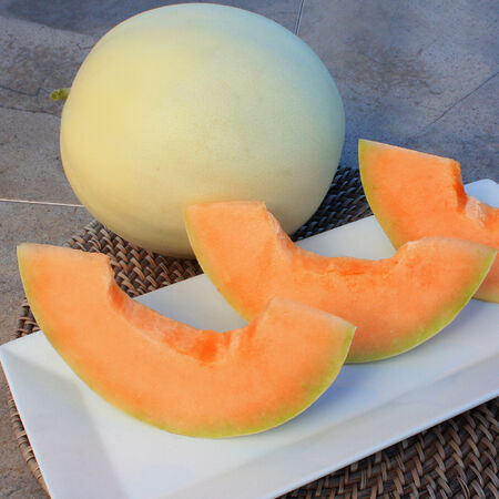 Honey Dew Melon Seed - Orange Flesh