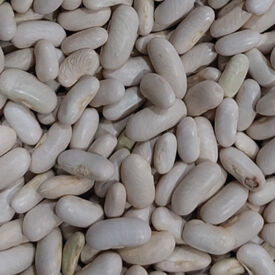 Quicksilver Mountain, Bean Seeds