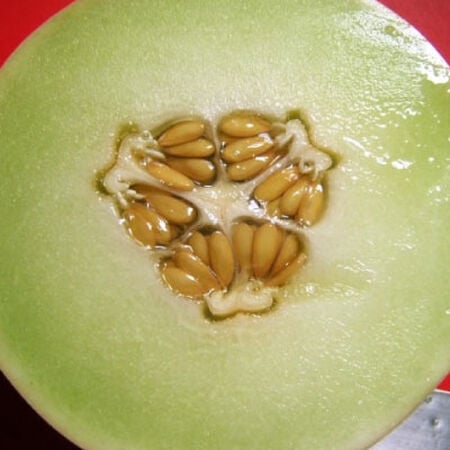 Honeydew Green Flesh, Melon Seeds - Packet image number null