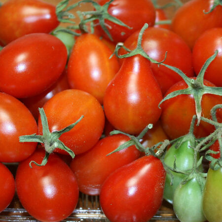 Red Pear, Tomato Seeds - Packet image number null