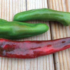 Anaheim Chili, Pepper Seeds