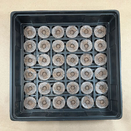 36 Slot Greenhouse Kit, Seed Starting image number null