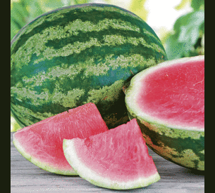 Triple Crown Seedless, (F1) Watermelon Seeds