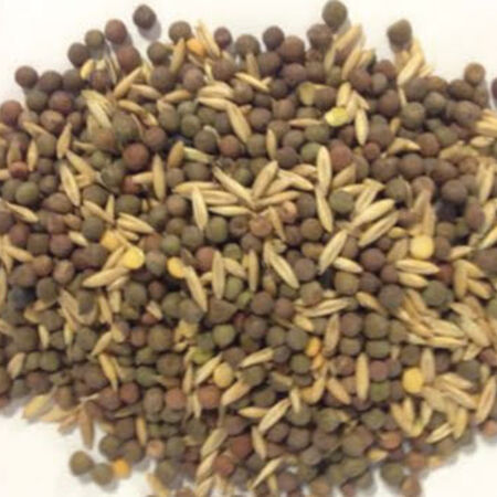 Field Peas and Oats Blend, Blends - 1 Pound image number null