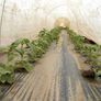 Agribon Row Covers, Row Covers thumbnail number null