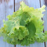 Seafresh, Lettuce Seeds thumbnail number null