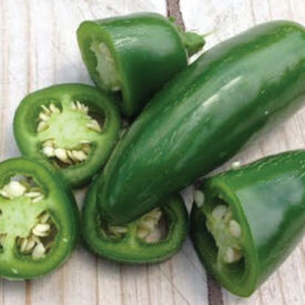 Early Jalapeno, Pepper Seeds