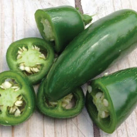Early Jalapeno, Pepper Seeds - Packet image number null