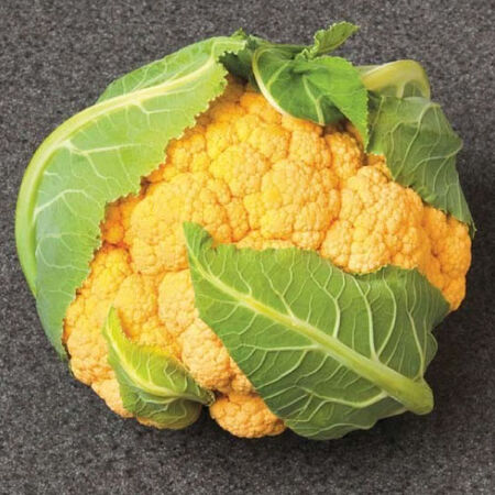 Orange Dream, Cauliflower Seeds - Packet image number null
