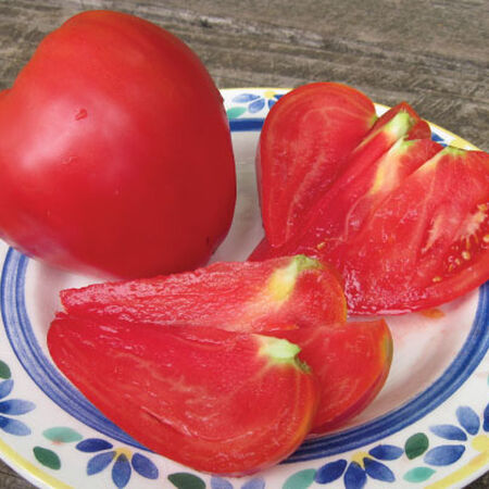 Anna Russian, Tomato Seeds - 1 Pound image number null