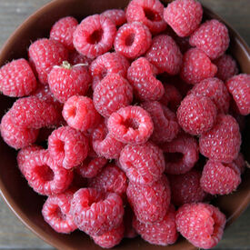 Latham Red, Raspberry Plants