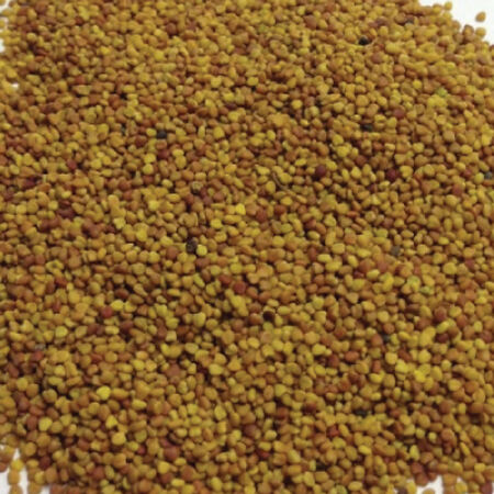 White Dutch Clover, Legumes - 1 Pound image number null