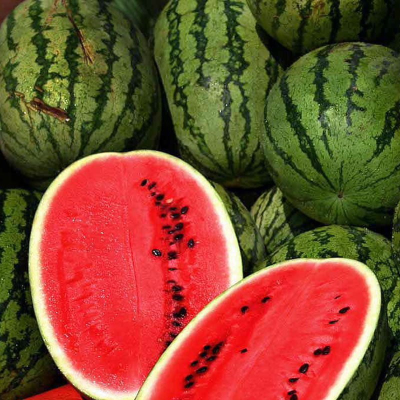 Crimson Sweet  Non-GMO-Free Shiping From USA 25 Fresh garden Seeds Watermelon 