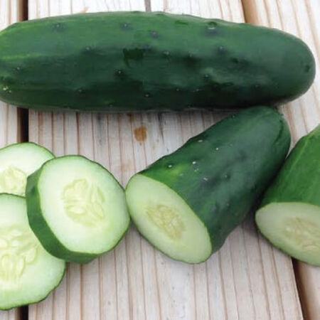 Marketmore 76, Organic Cucumber Seeds - Packet image number null