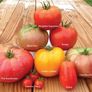 Heirloom Blend, Tomato Seeds - Packet thumbnail number null