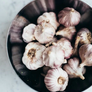 Yugoslavian, Garlic Bulb thumbnail number null