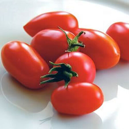 Juliet, Tomato Seeds - Packet image number null