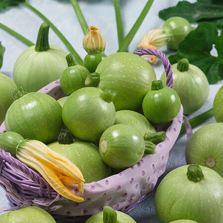 Ronde De Nice, Organic Zucchini Seeds image number null