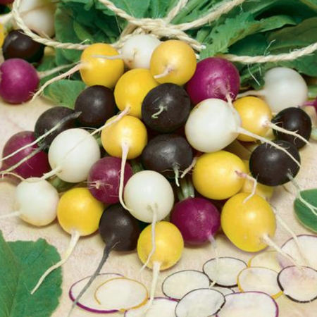 Halloween Mix, Radish Seeds - Packet image number null