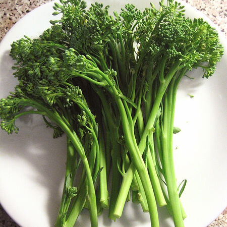 Spring Raab, Organic Broccoli Seeds - Packet image number null
