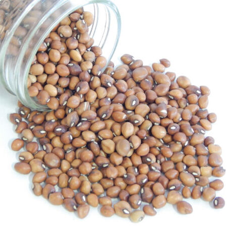 Mississippi Silver, Cowpea Seeds image number null
