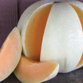 Honeydew Orange Flesh, Melon Seeds