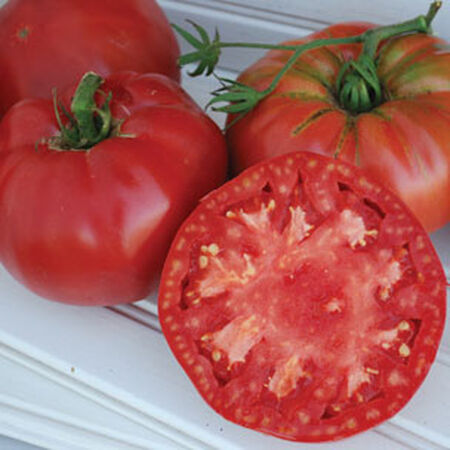 Pruden's Purple, Organic Tomato Seeds - 5,000 Seeds image number null