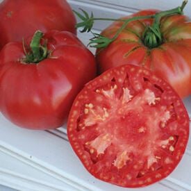 Pruden's Purple, Organic Tomato Seeds