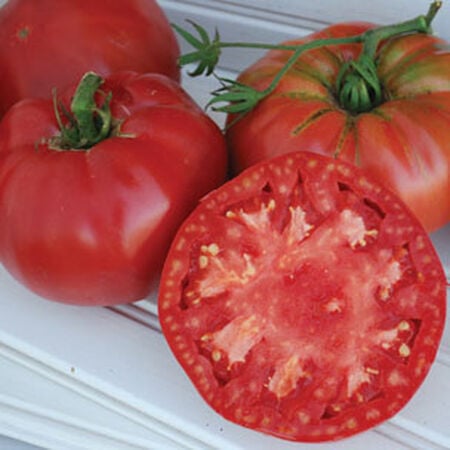 Pruden's Purple, Organic Tomato Seeds - Packet image number null