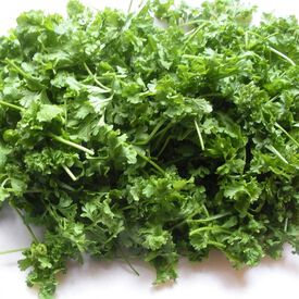 Upland Cress Green Seeds 157