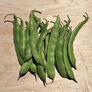 Dulcina, Bean Seeds - Packet thumbnail number null