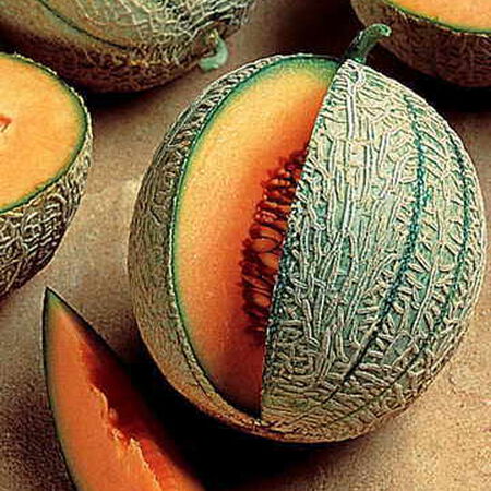 Ambrosia Hybrid, Melon Seeds - Packet image number null