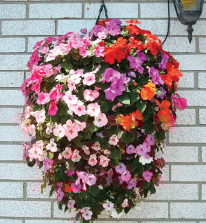 Flower pouch deals