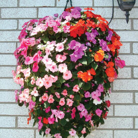 Hanging Flower Pouch, Containers