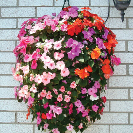 Hanging Flower Pouch, Containers - 1 Bag image number null