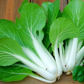 Win Win Choi, Pak Choi Cabbage