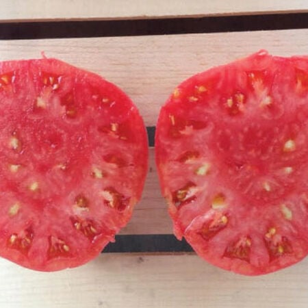 Pink Brandywine, Tomato Seeds - Packet image number null