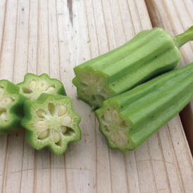 Cow Horn, Okra Seed