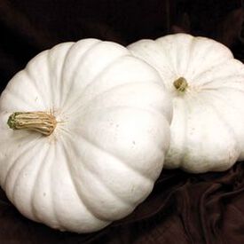 White Flat Boer Ford, Pumpkin Seeds