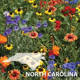 North Carolina Blend, Wildflower Seed