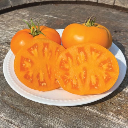 Yellow Brandywine, Tomato Seeds - Packet image number null
