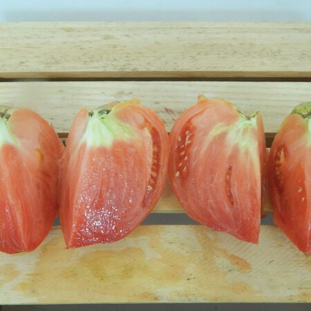 Red Oxheart, Tomato Seeds image number null