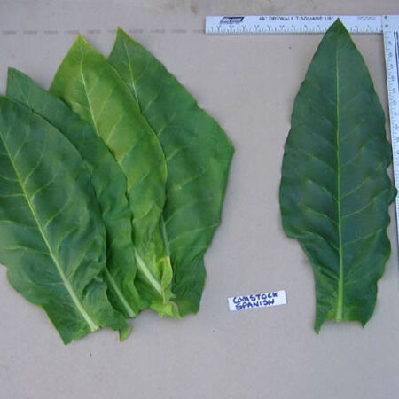 Comstock Spanish, Tobacco Seed - Packet image number null
