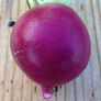 Purple Plum, Radish Seeds - Packet thumbnail number null