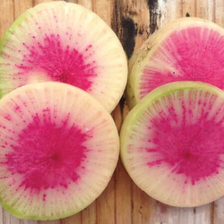 Watermelon, Radish Seeds - Packet image number null