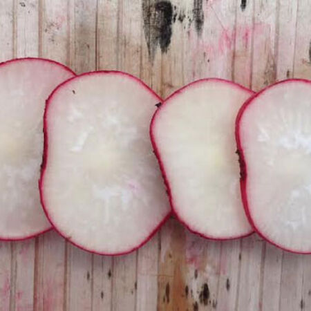 Cherry Belle, Radish Seeds - 25 Pounds image number null