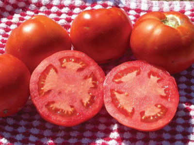 Floridade Tomato Seeds     bin204 