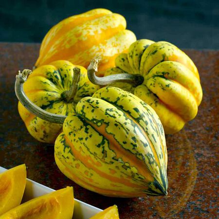 Festival Winter, (F1) Squash Seeds image number null