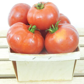 Crnkovic Yugoslavian, Tomato Seeds