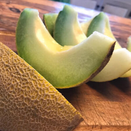 Arava, (F1) Organic Melon Seeds image number null